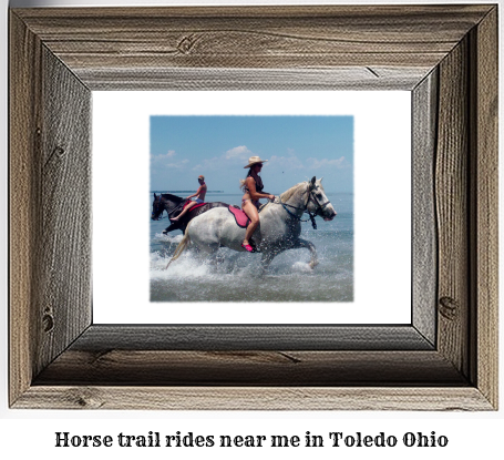 horse trail rides near me in Toledo, Ohio